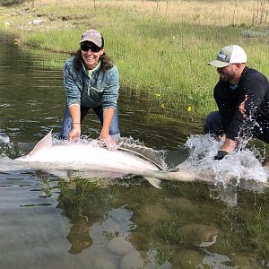 Fishing Sturgeon in USA