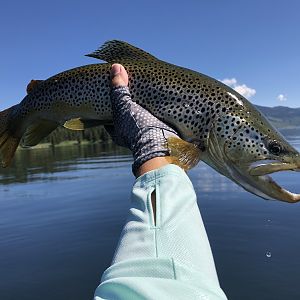 Rainbow Trout Fishing USA