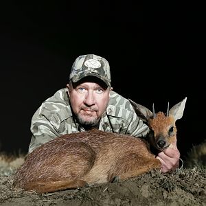 South Africa Hunting Cape Grysbok