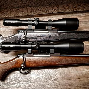 Tikka .223 Rifle & Tikka 6.5x55 Rifle