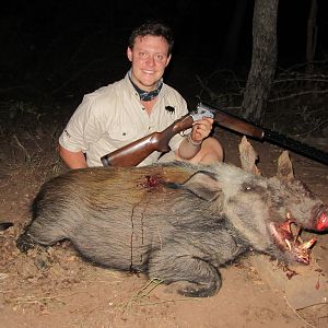 South Africa Hunting Bushpig