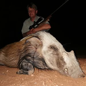 Bushpig Hunt South Africa