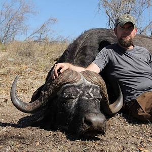 Hunting Buffalo in South Africa