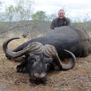 Buffalo Hunting South Africa