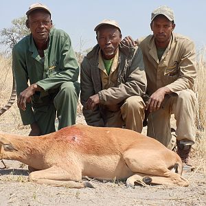 Impala Hunting Namibia