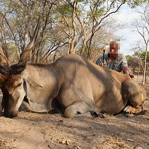 Namibia Hunt Eland