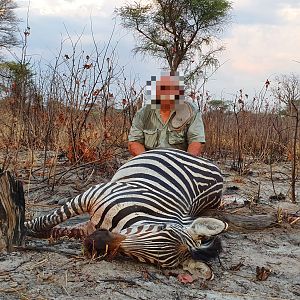 Hunt Hartmann's Mountain Zebra in Namibia