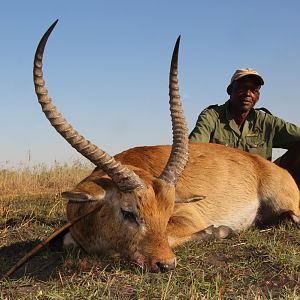 Hunting Red Lechwe in Namibia