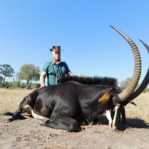 Namibia Hunt Sable Antelope