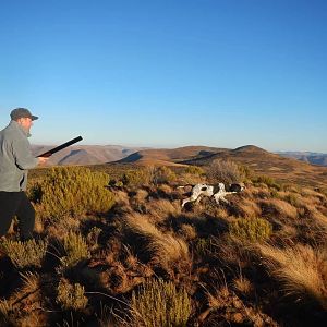 Hunt in South Africa