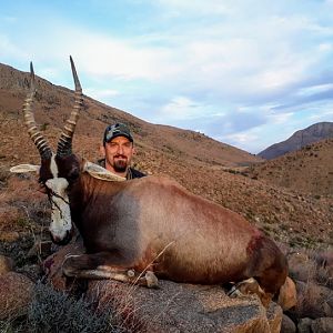 Blesbok Hunting South Africa