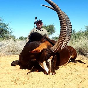 Hunting Sable in South Africa