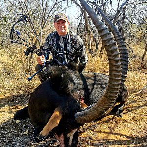 Sable Antelope Bow Hunt South Africa