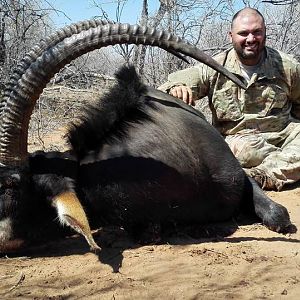 Sable Antelope Hunt South Africa