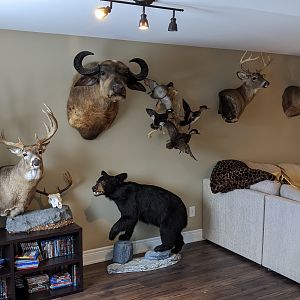 My Trophy Room