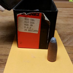 Big Bore Hunting Bullets