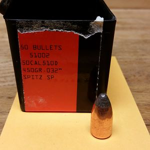 Big Bore Hunting Bullets