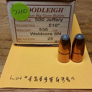 Big Bore Hunting Bullets