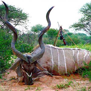 Botswana Hunt 54" Inch Kudu