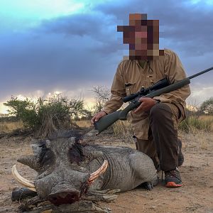 Warthog Hunting Namibia