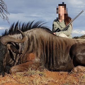 Blue Wildebeest Hunt South Africa