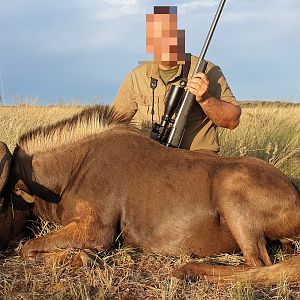 Hunt Black Wildebeest in South Africa