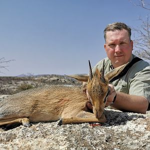 Damara Dik-dik Hunting Namibia