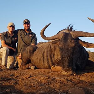 Hunting Blue Wildebeest in South Africa