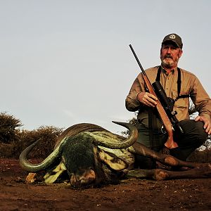 South Africa Hunt Blue Wildebeest