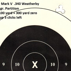 Weatherby Mark V .340 Weatherby Range Shots