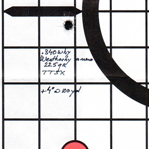 Weatherby Mark V .340 Weatherby Range Shots