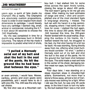 .340 Weatherby Article