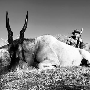 Eland Hunting South Africa