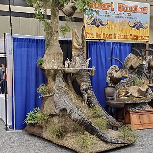 Crocodile Taxidermy at Dallas Safari Club (DSC) Convention 2020