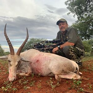 White Blesbok Cross Bow Hunt South Africa