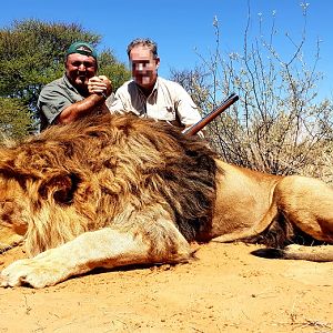 Hunt Lion in South Africa