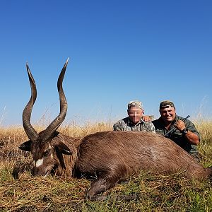 Sitatunga Hunting Zambia