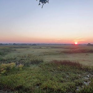 Bangweulu Wetlands Zambia