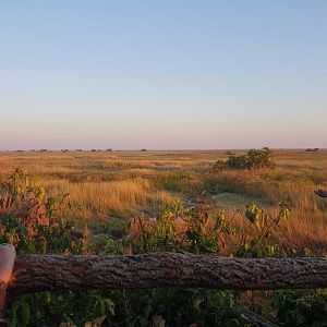 Bangweulu Wetlands Zambia