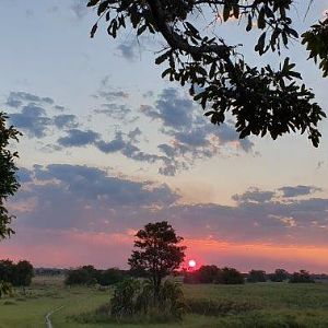 Bangweulu Wetlands Zambia