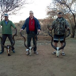 Kudu Hunt Namibia