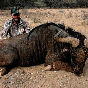 Hunt Blue Wildebeest in South Africa