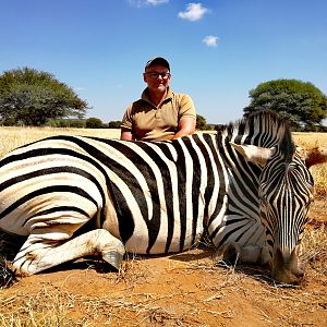 South Africa Hunting Burchell's Plain Zebra