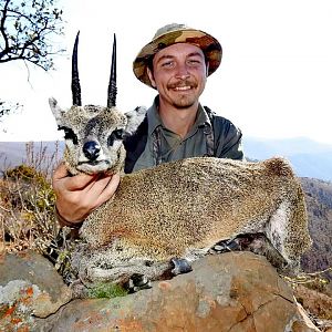 South Africa Hunt Klipspringer