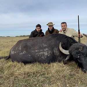 Hunting Water Buffalo in Argentina