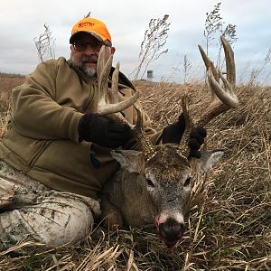 Hunt White-tailed Deer in USA