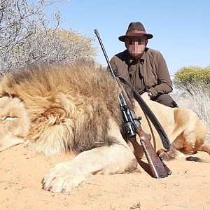 Hunt Lion in South Africa