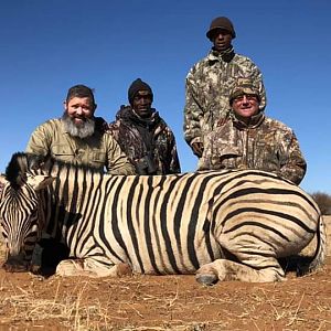 Burchell's Plain Zebra Hunting Namibia