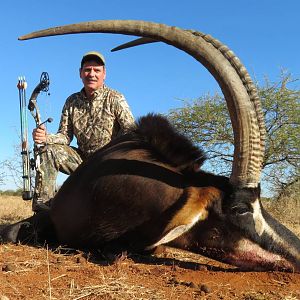 South Africa Bow Hunt Sable Antelope