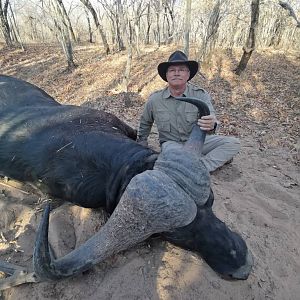 Hunt Cape Buffalo in South Africa